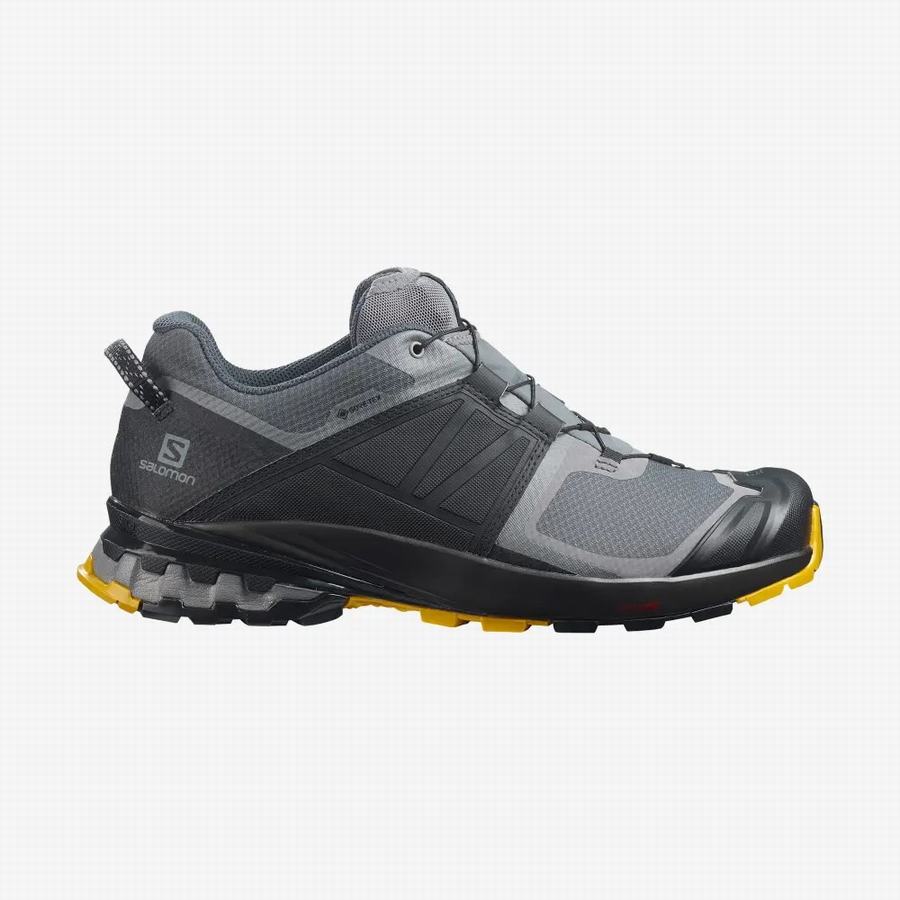 Salomon Xa Wild Gore-tex Trail Løbesko Herre Sort/Grå [PHM9153GB]